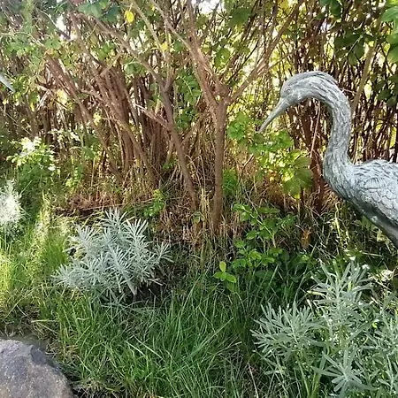 Apartament App. Kuestenkind *